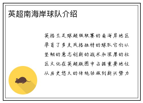 英超南海岸球队介绍