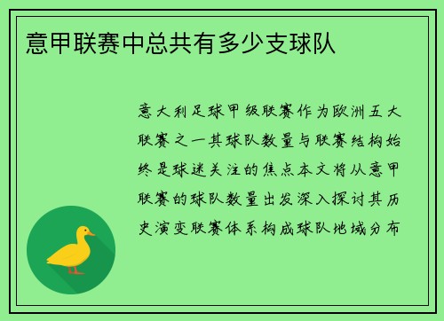 意甲联赛中总共有多少支球队