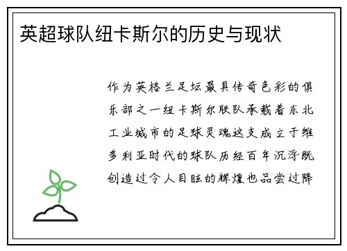 英超球队纽卡斯尔的历史与现状